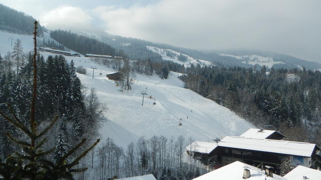 Gondelblick Apartment Алпбах Стая снимка